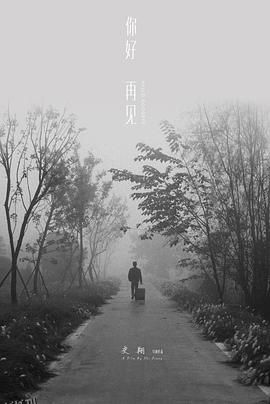 你好 再见 海报