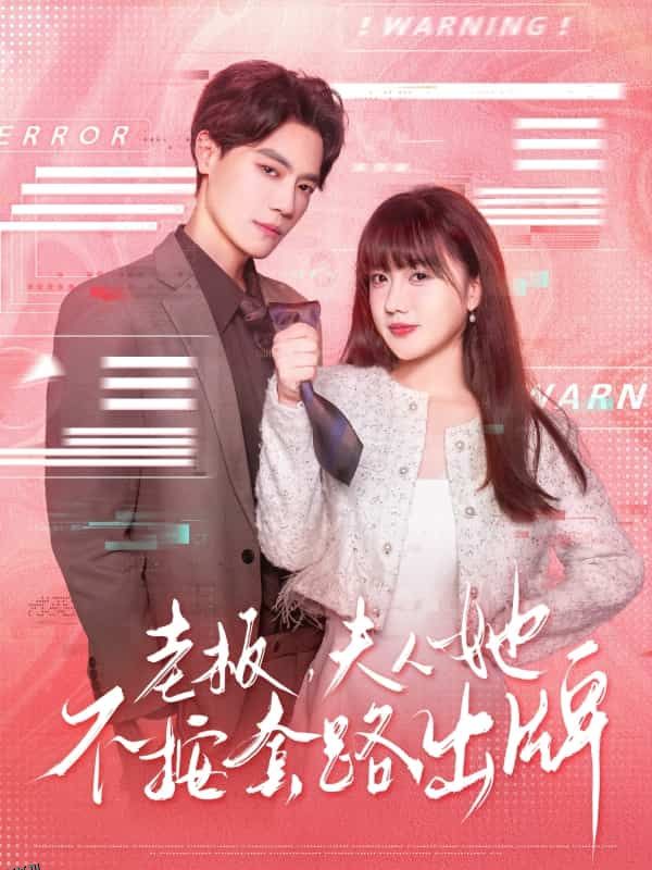 老板夫人她不按套路出牌 海报