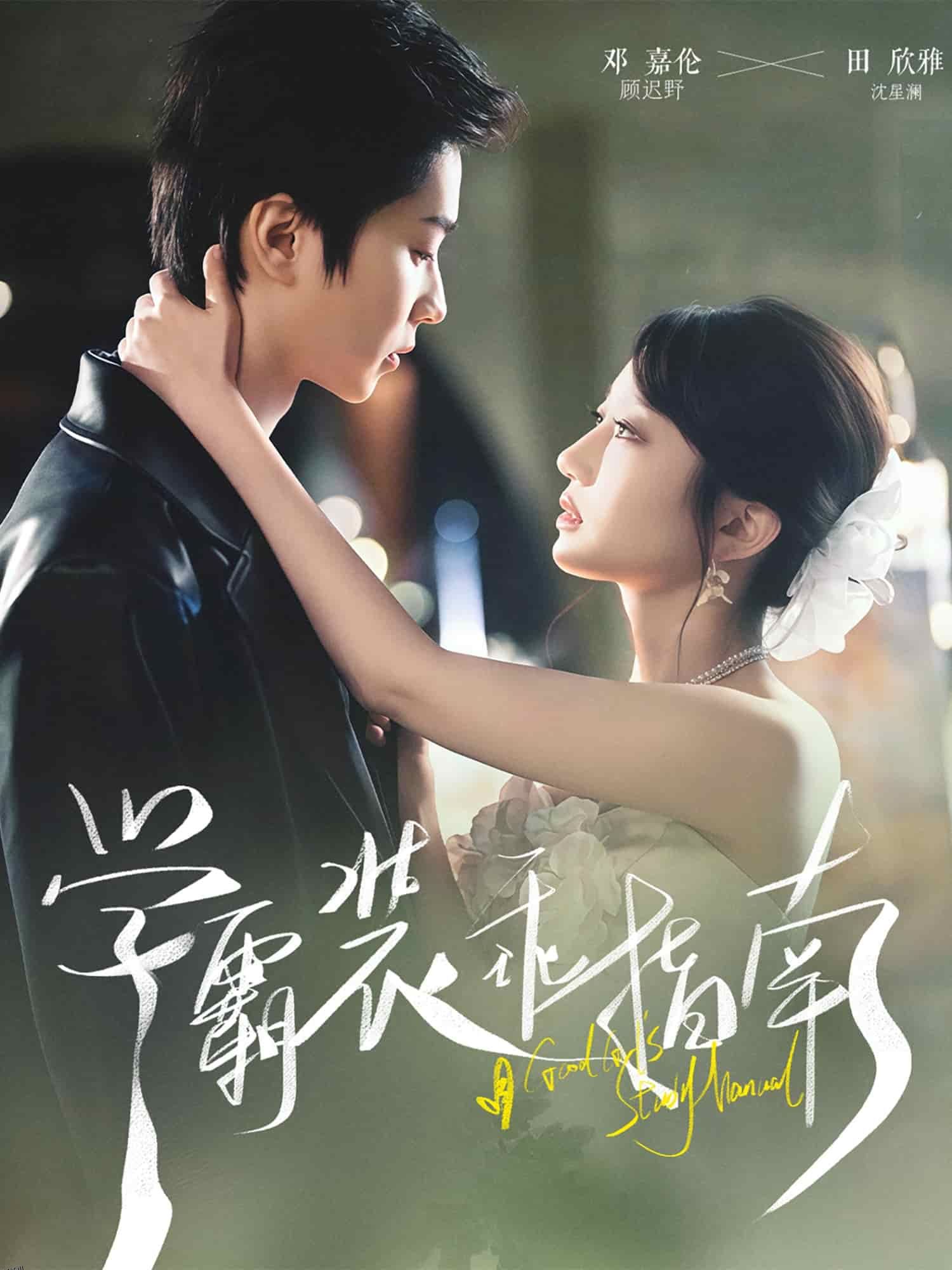 学霸装乖指南 海报