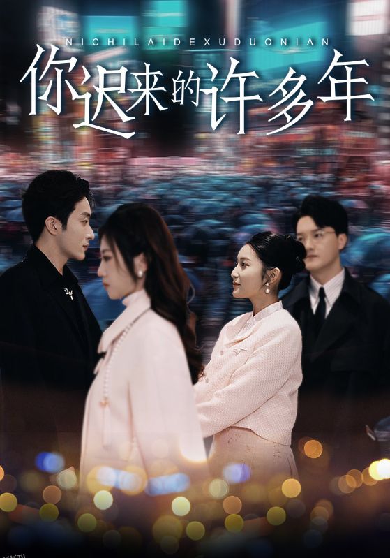 你迟来的许多年 海报