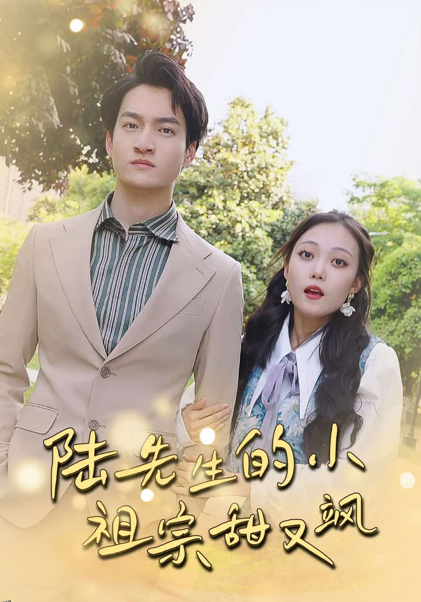 陆先生的小祖宗甜又飒 海报