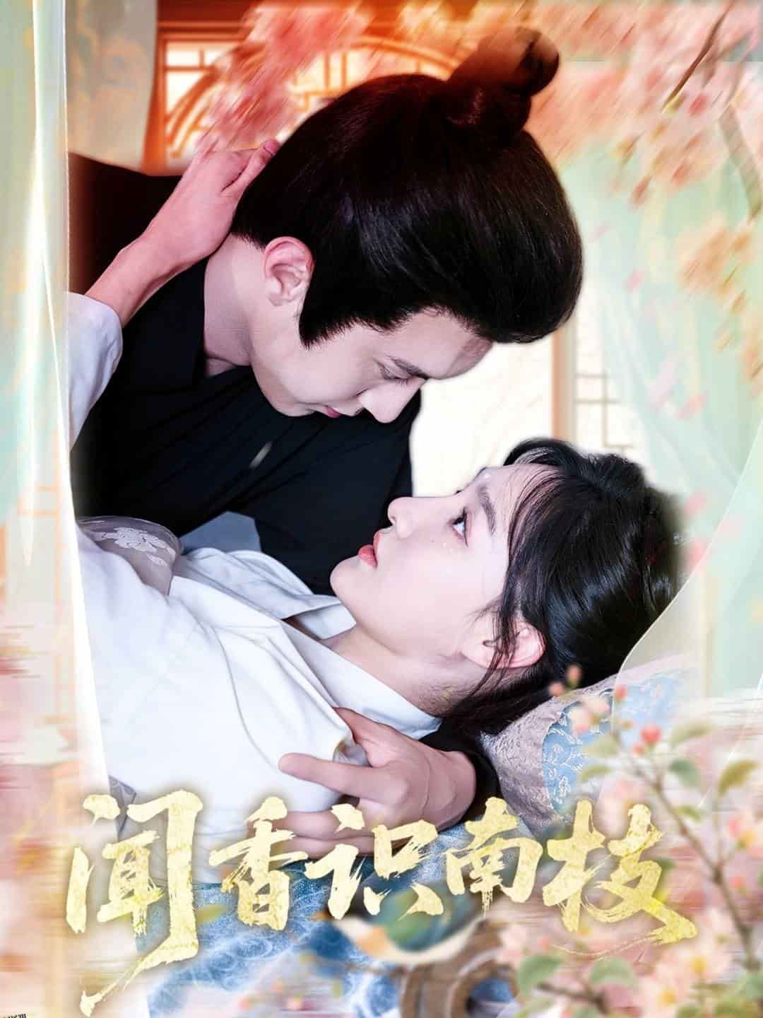 闻香识南枝 海报