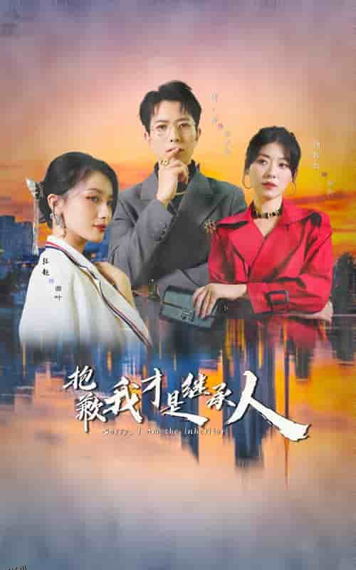 抱歉我才是继承人 海报