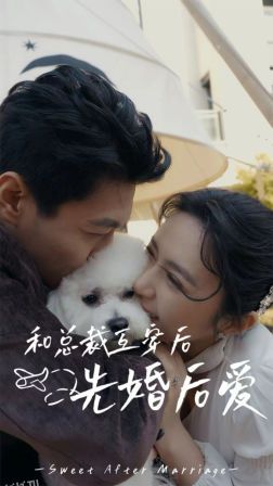 和总裁互穿后先婚后爱 海报