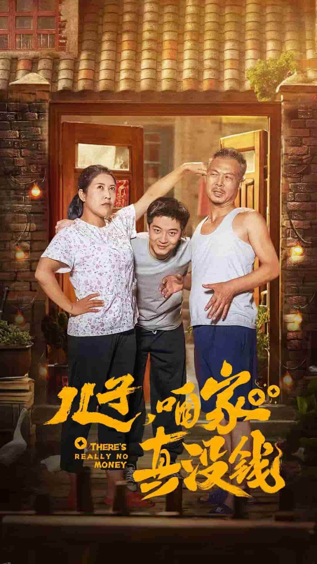 儿子咱家真没钱 高清海报