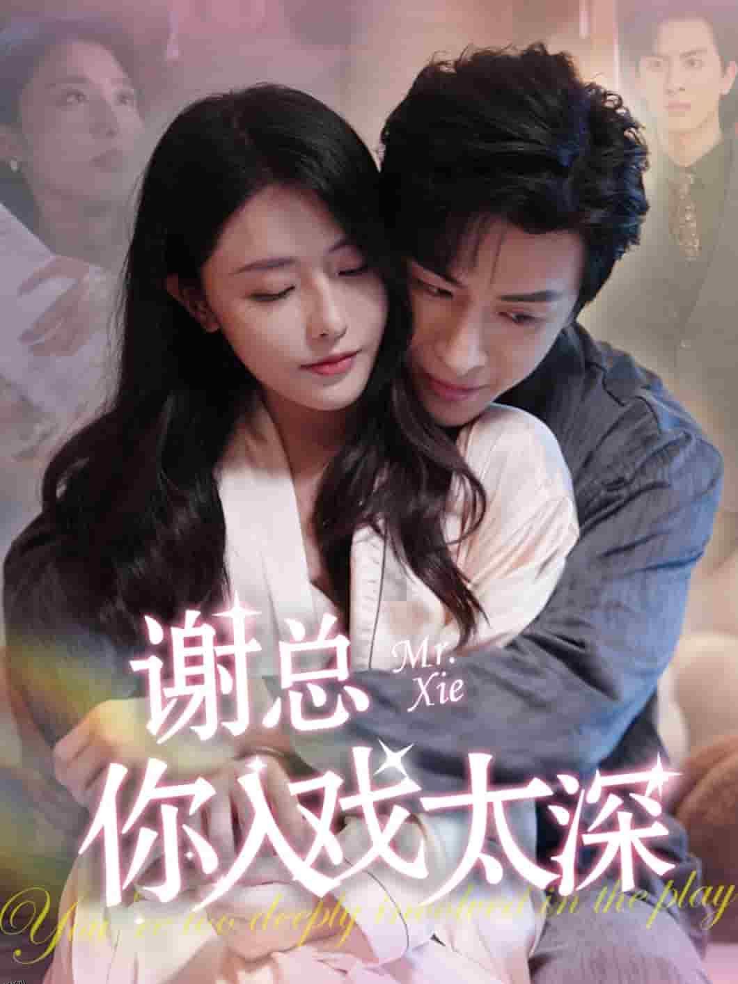 谢总你入戏太深 海报