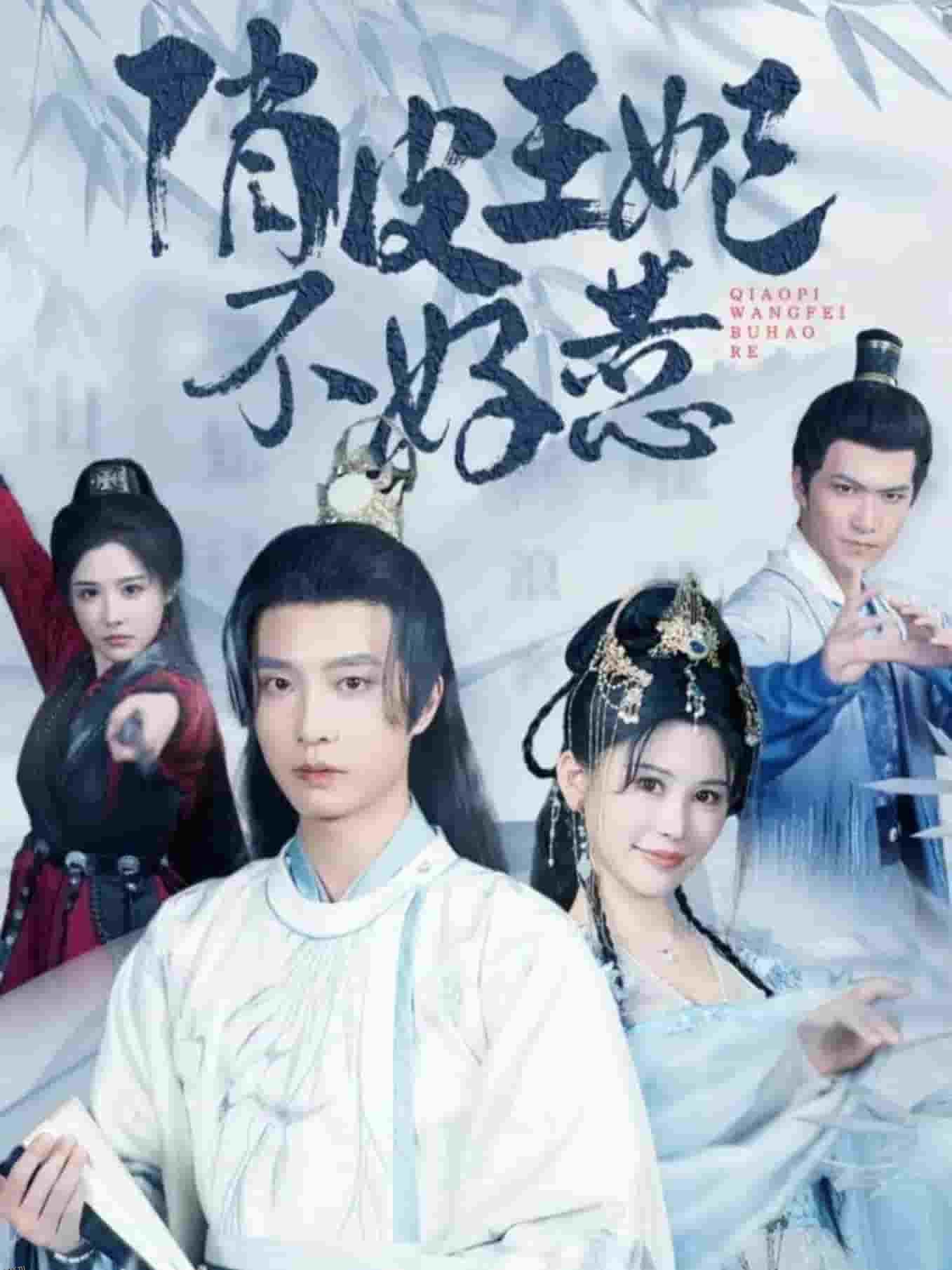 俏皮王妃不好惹 海报