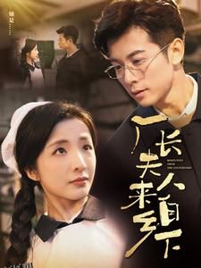 厂长夫人来自乡下 海报