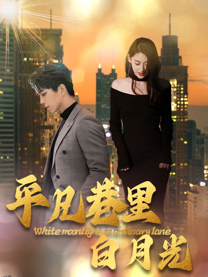 平凡巷里白月光 海报