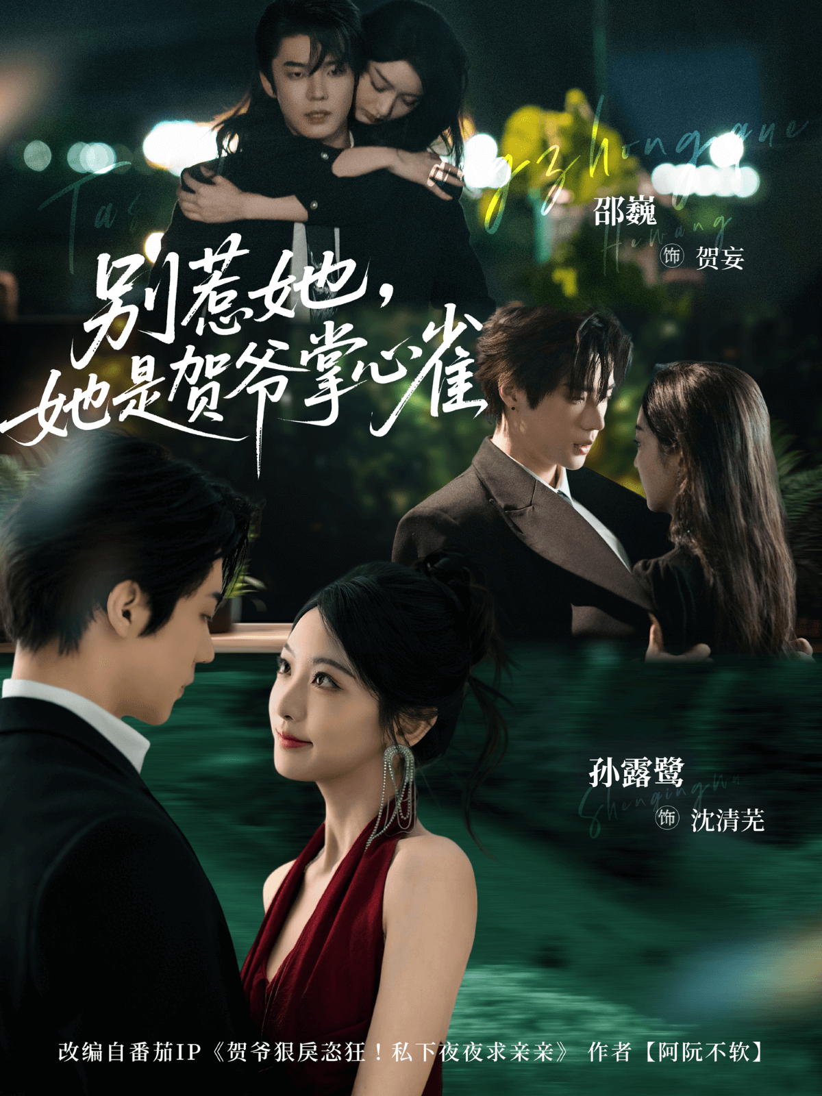 别惹她，她是贺爷掌心雀 海报