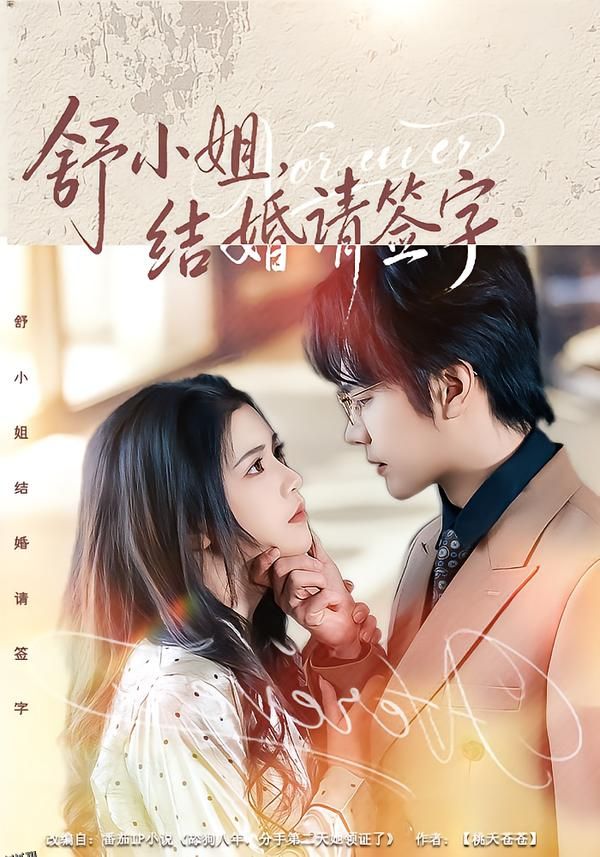 舒小姐，结婚请签字 海报