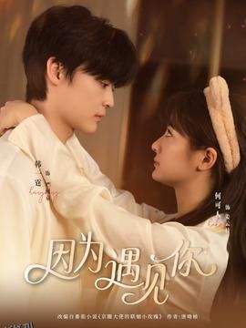 因为遇见你 海报