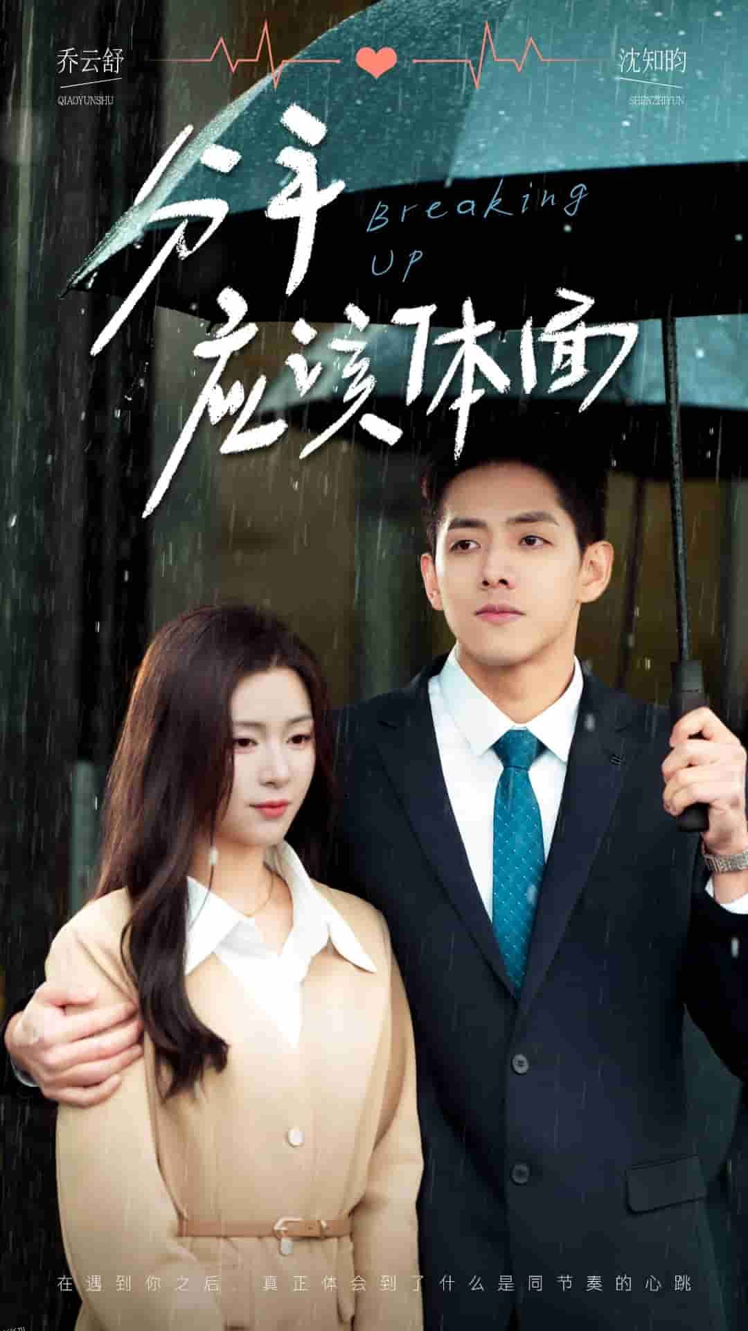 分手应该体面 海报