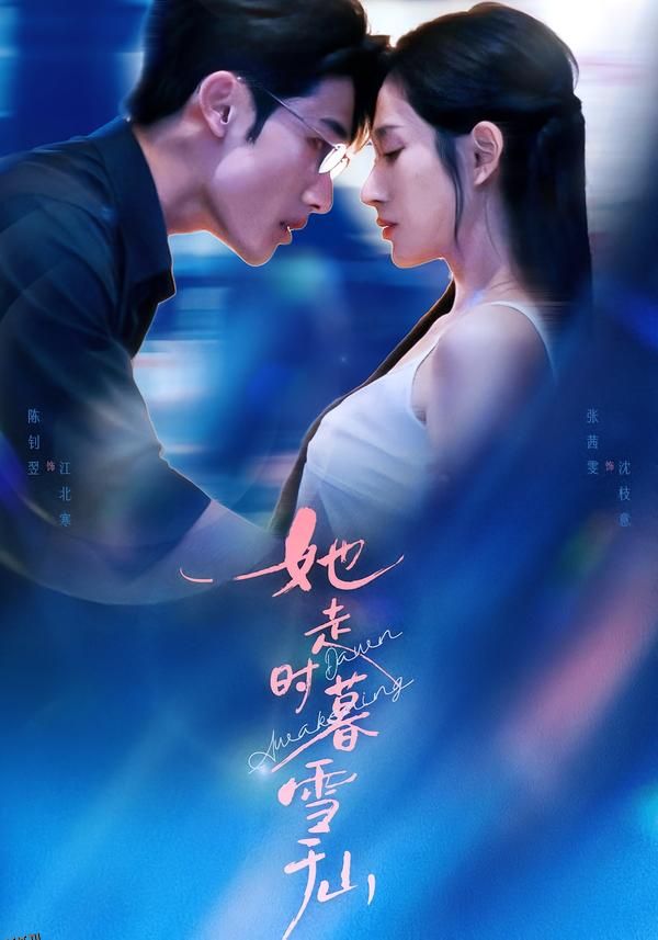 她走时暮雪千山 海报