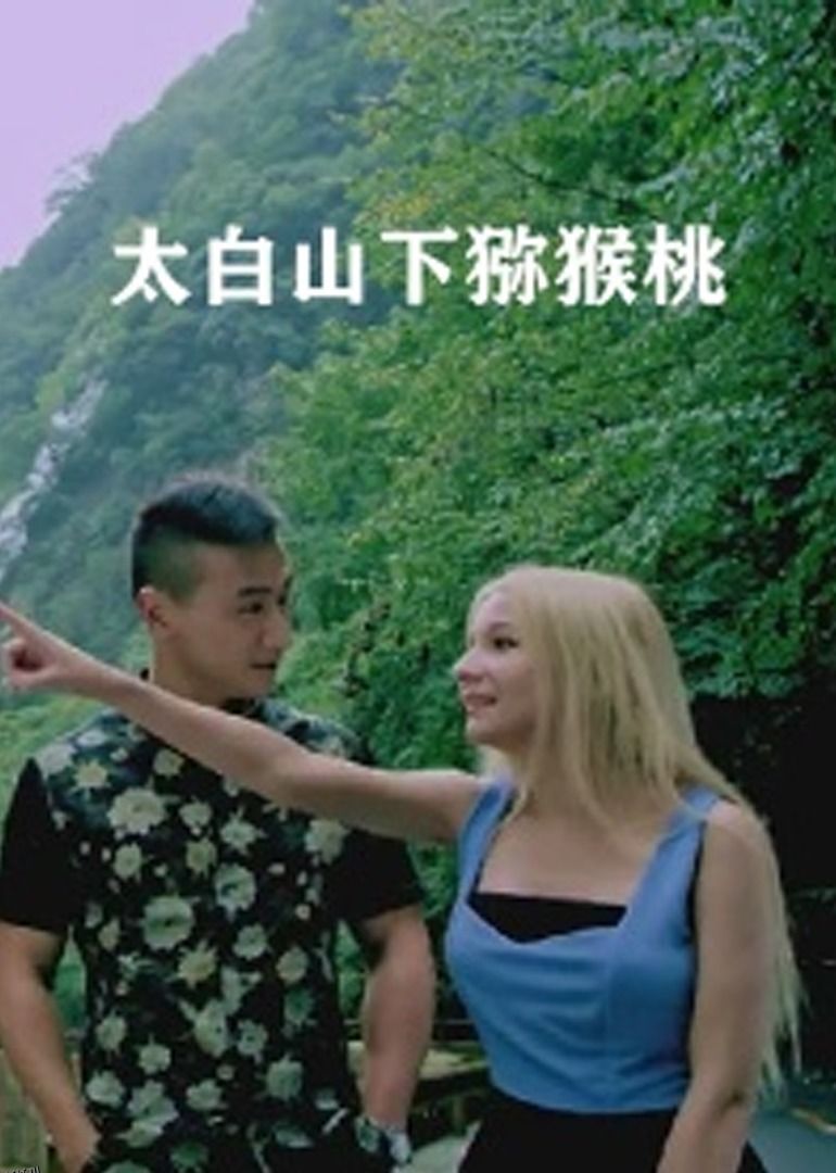 太白山下猕猴桃 海报