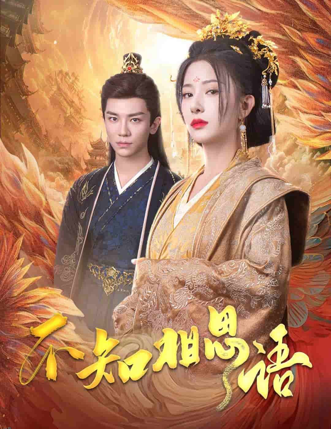 不知相思语 海报