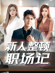 新人整顿职场记 海报