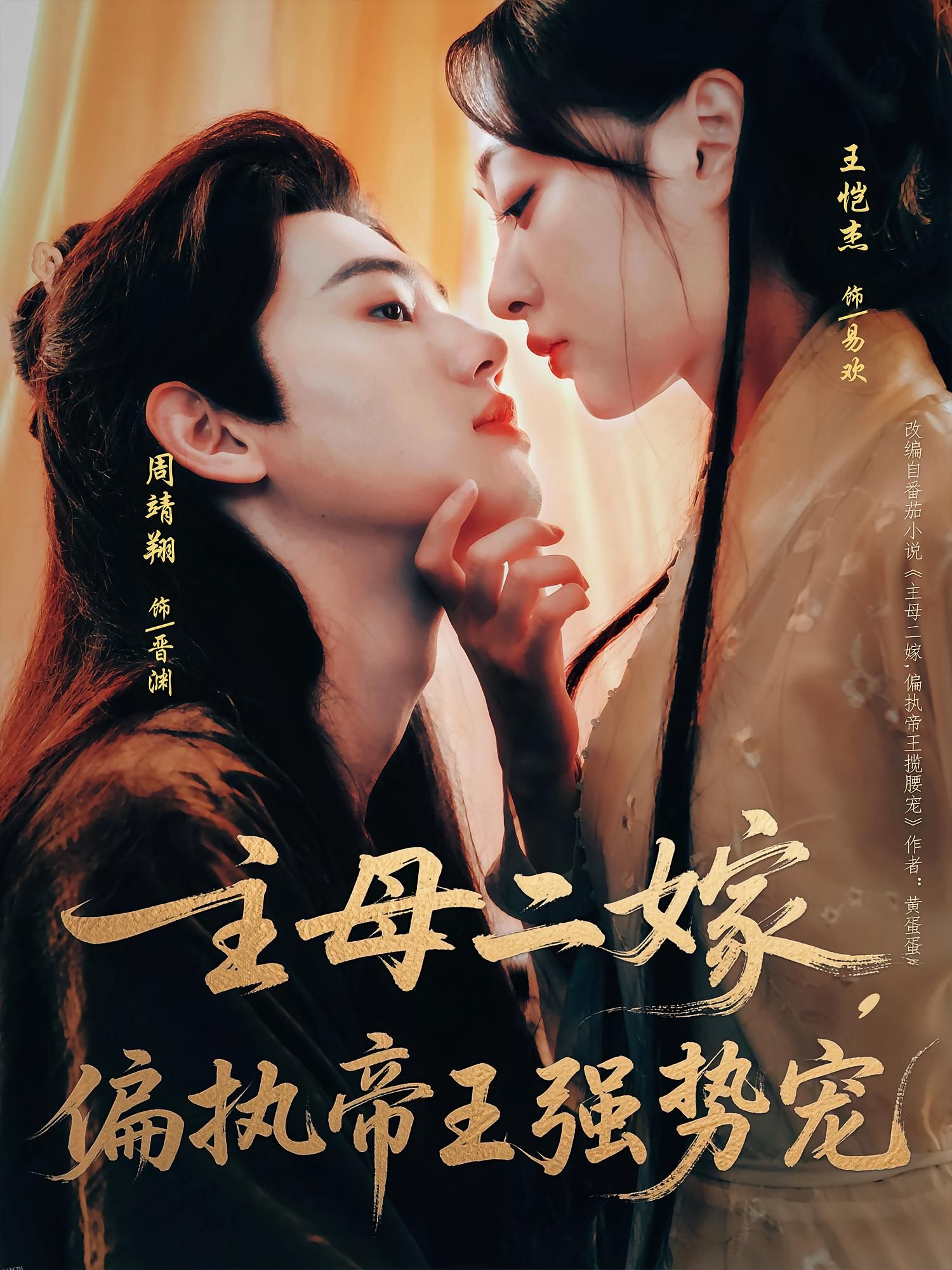 主母二嫁偏执帝王强势宠 海报