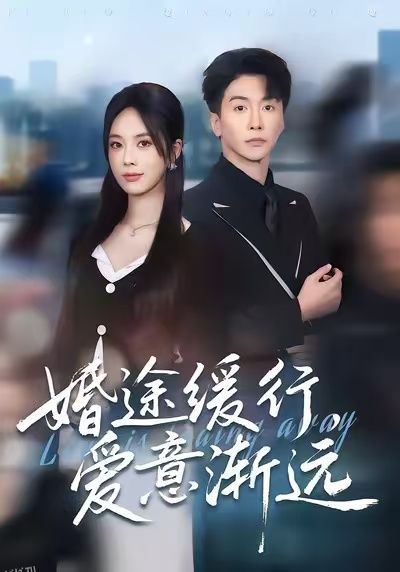 婚途缓行，爱意渐远 海报