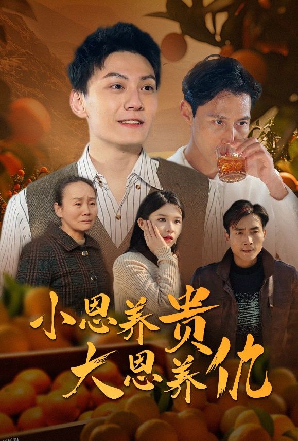 小恩养贵大恩养仇 海报
