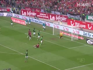 德甲联赛 科隆VS法兰克福 20251123 海报