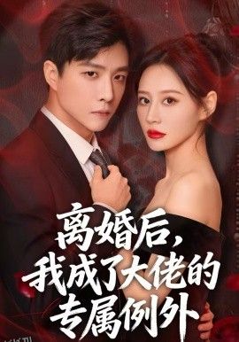 离婚后，我成了大佬的专属例外 海报