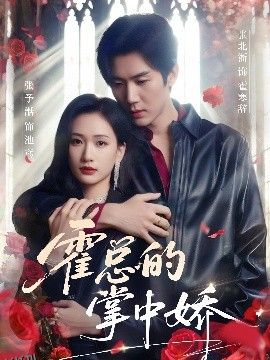 霍总的掌中娇 海报