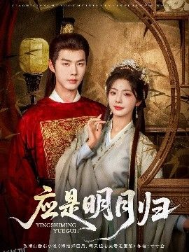 应是明月归 海报