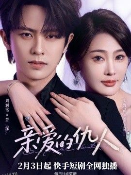 亲爱的仇人 海报