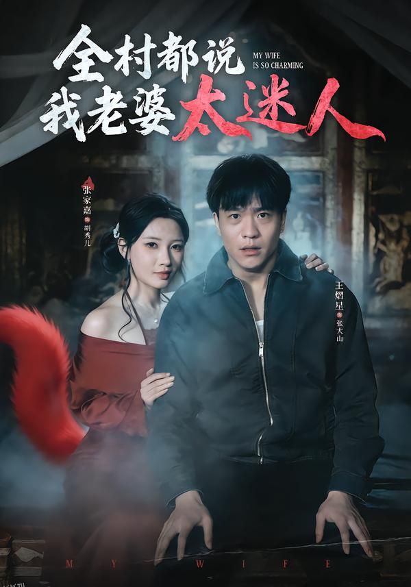 全村都说我老婆太迷人 海报