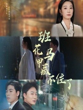 班花马甲藏不住了 海报