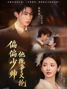 偏偏少帅他既争又抢 海报