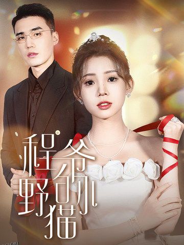 程爷的小野猫 海报