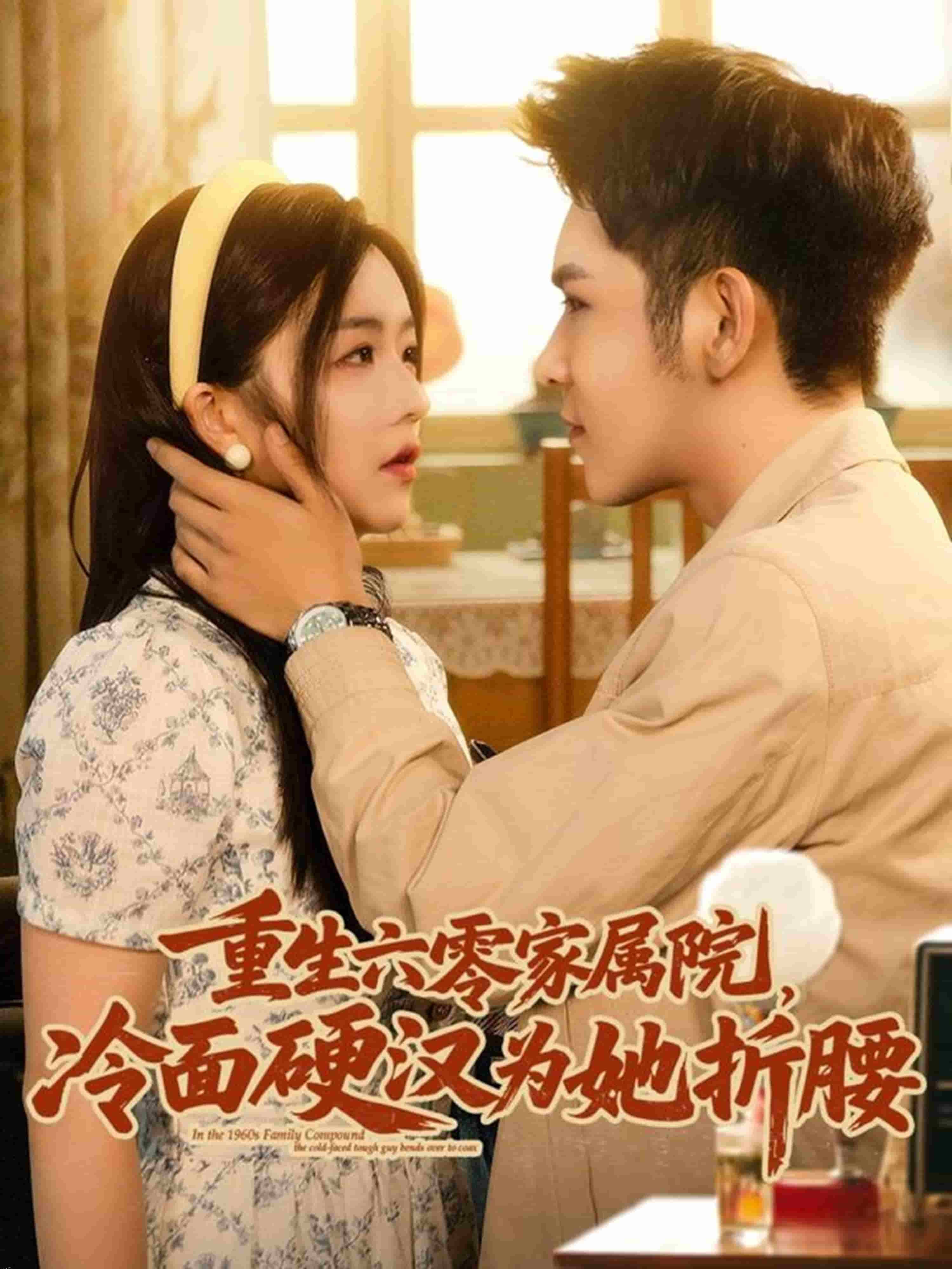 重生六零家属院冷面硬汉为她折腰 海报