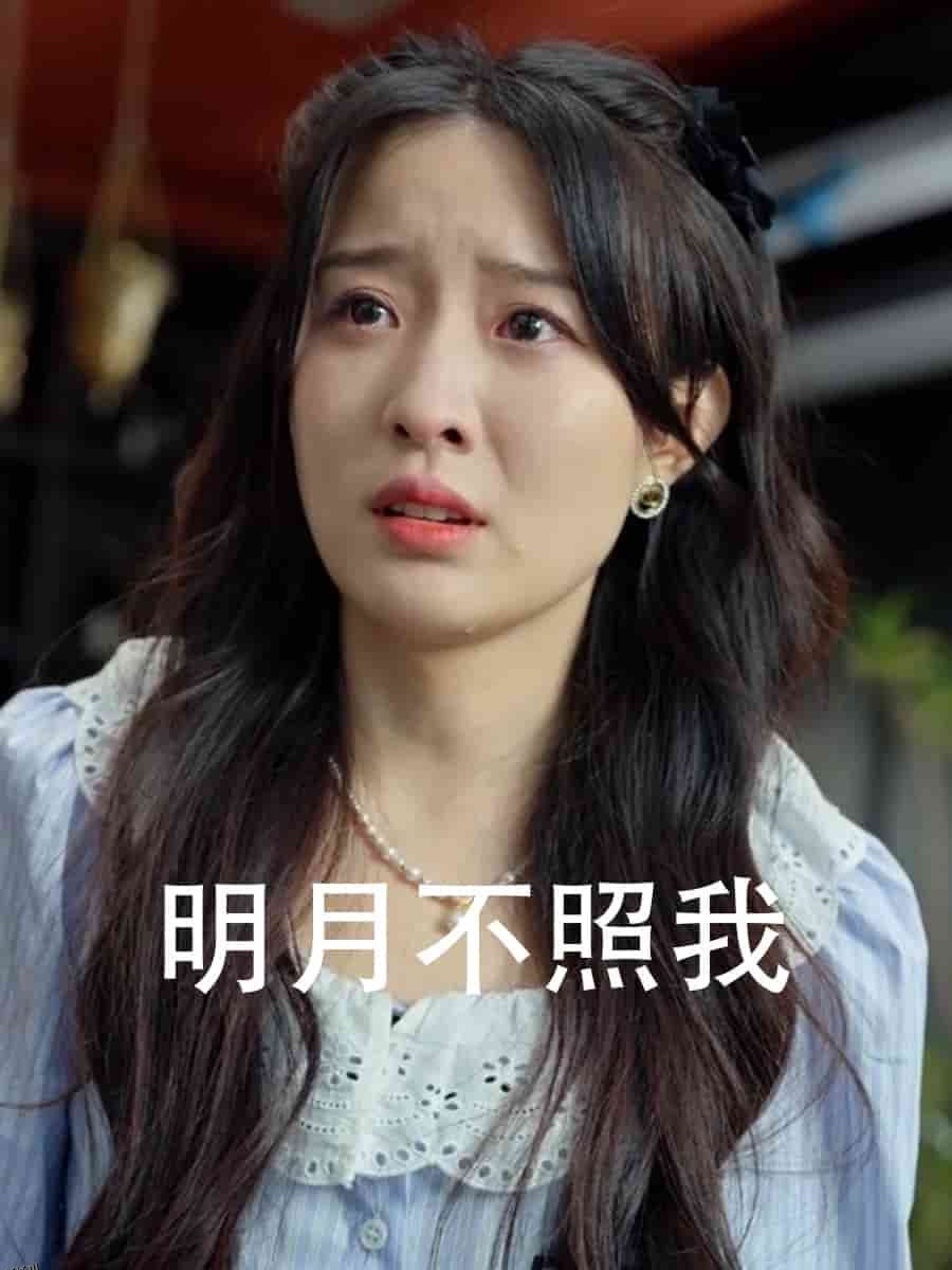 明月不照我 海报