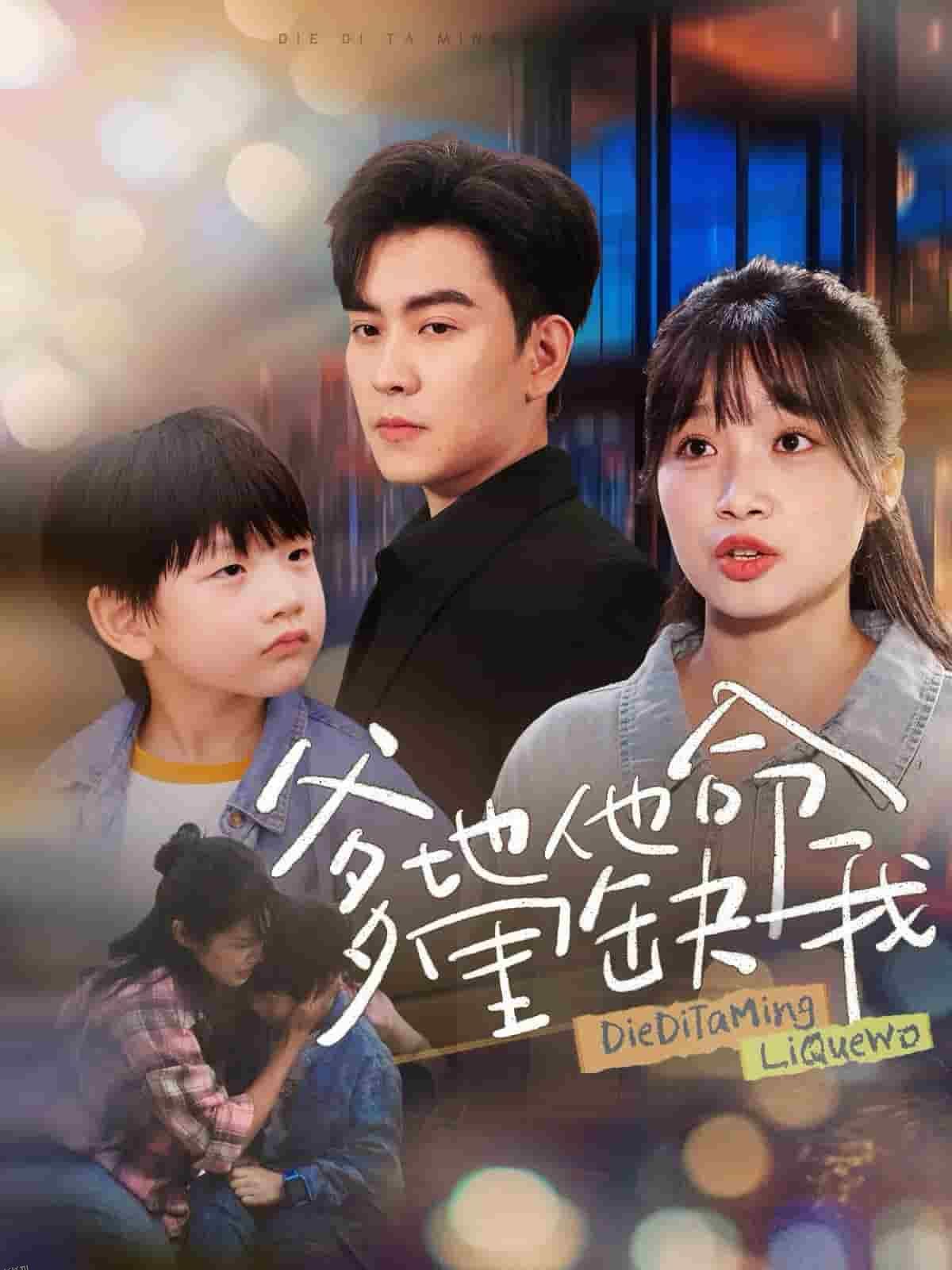 爹地他命里缺我 海报