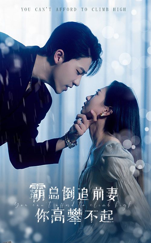 霸总倒追前妻你高攀不起 海报