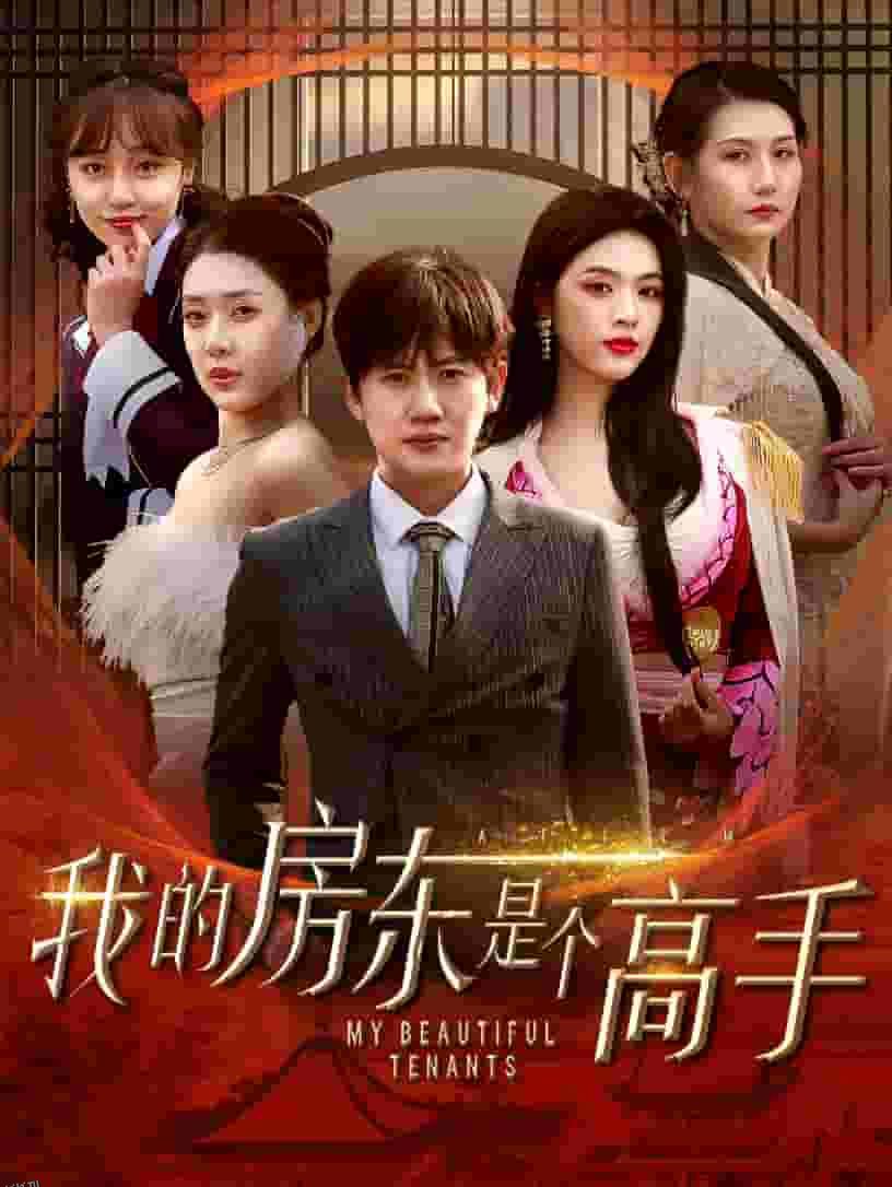 我的房东是个高手 海报