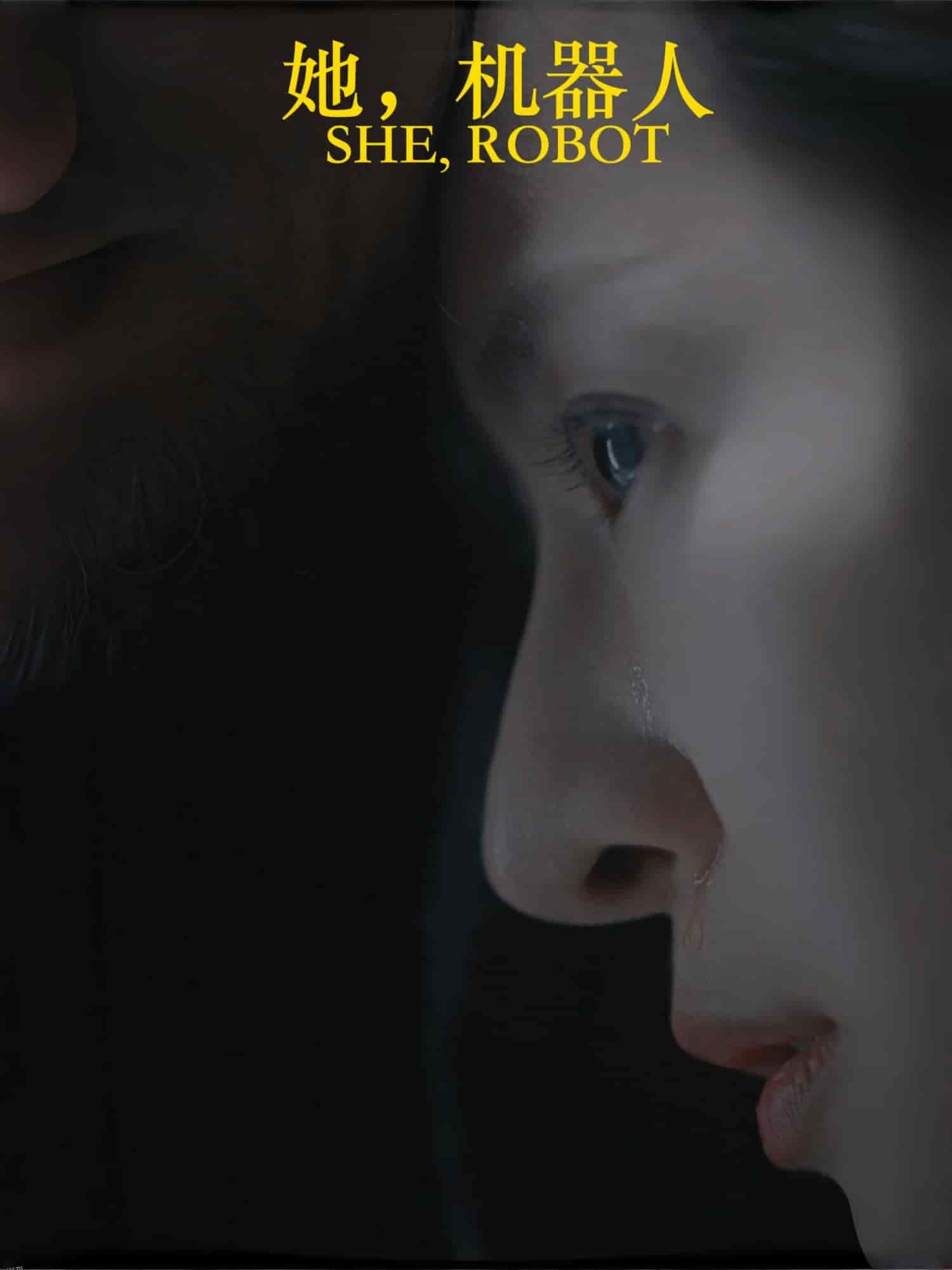 她，机器人 海报