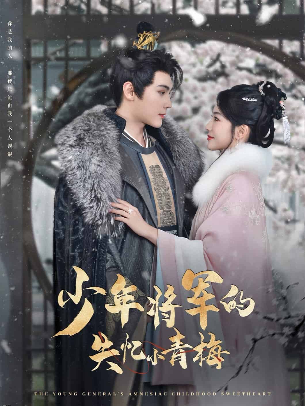 少年将军的失忆小青梅 海报