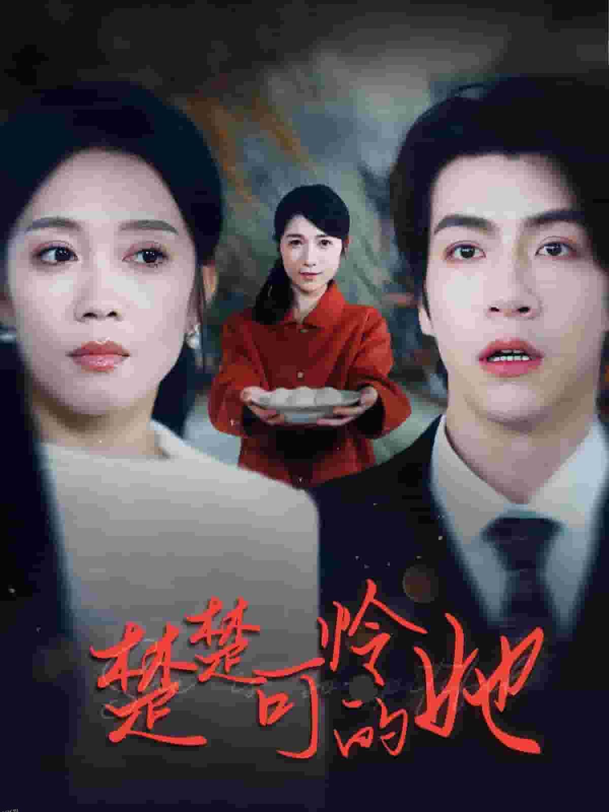 楚楚可怜的她 海报