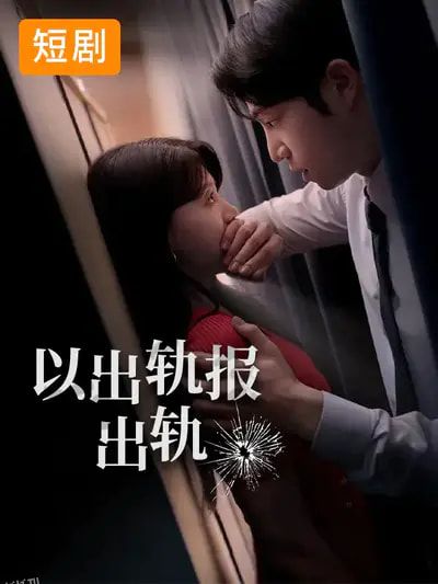 以出轨报出轨 海报