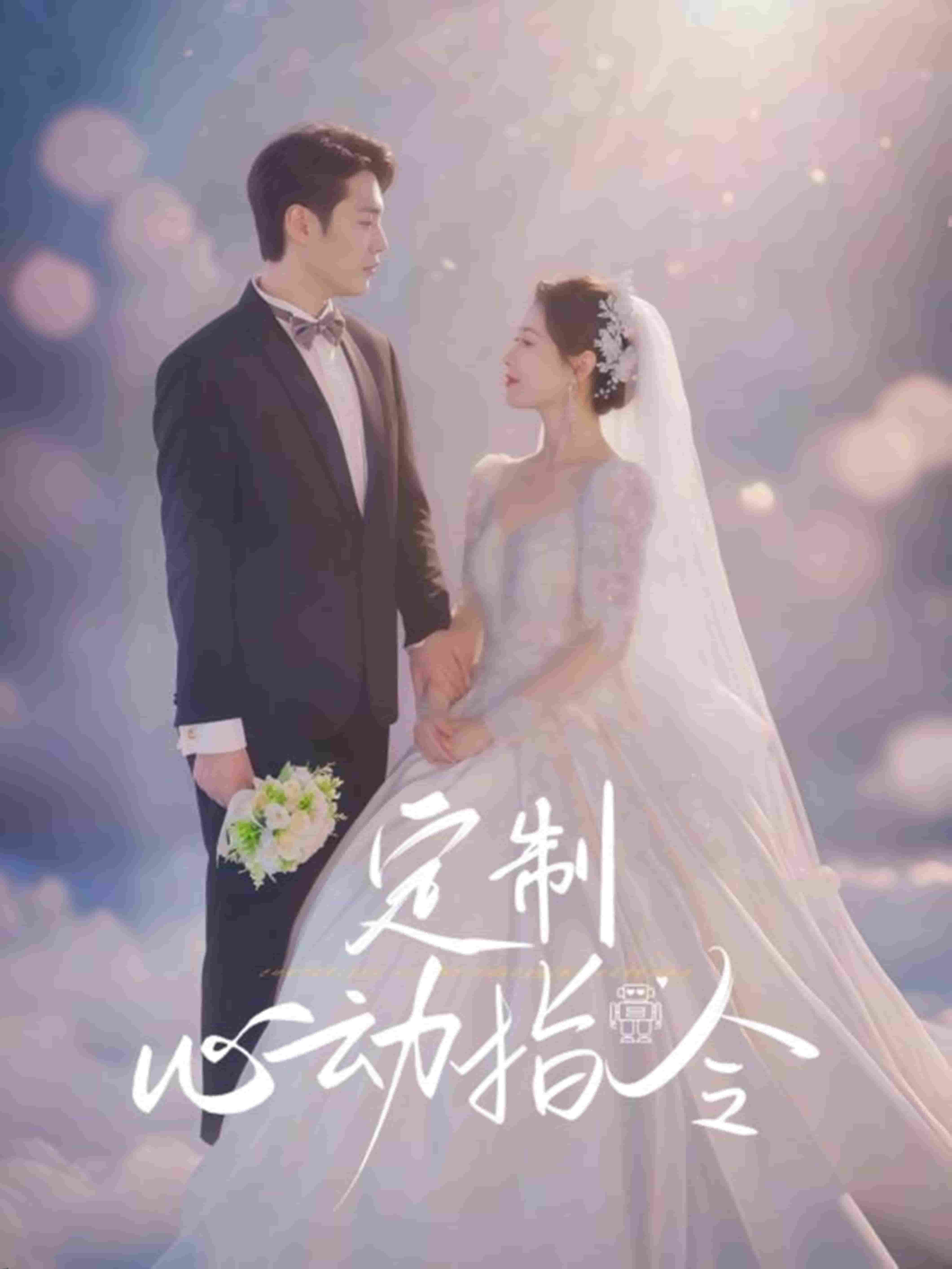 定制心动指令 海报