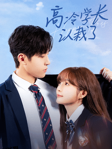 高冷学长认栽了 海报