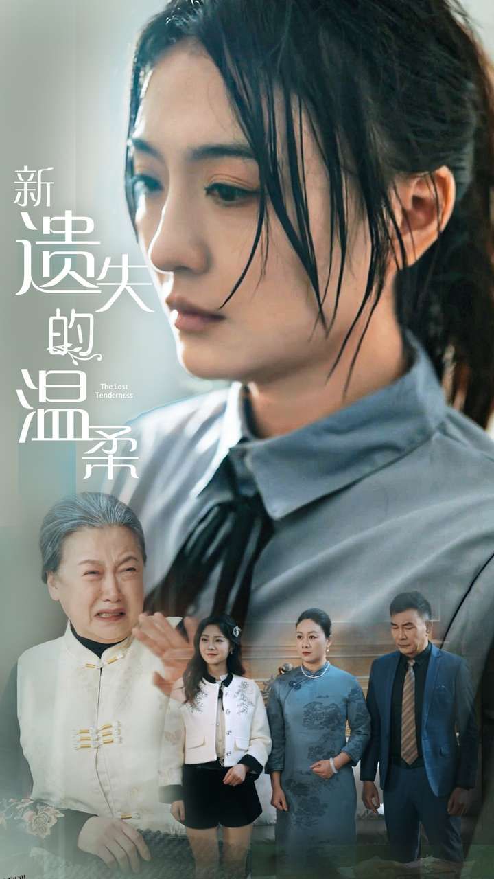 新遗失的温柔 海报