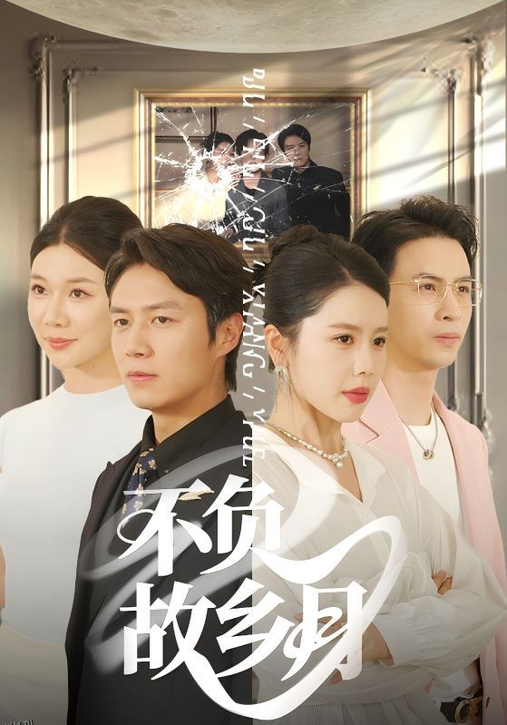 不负故乡月 海报